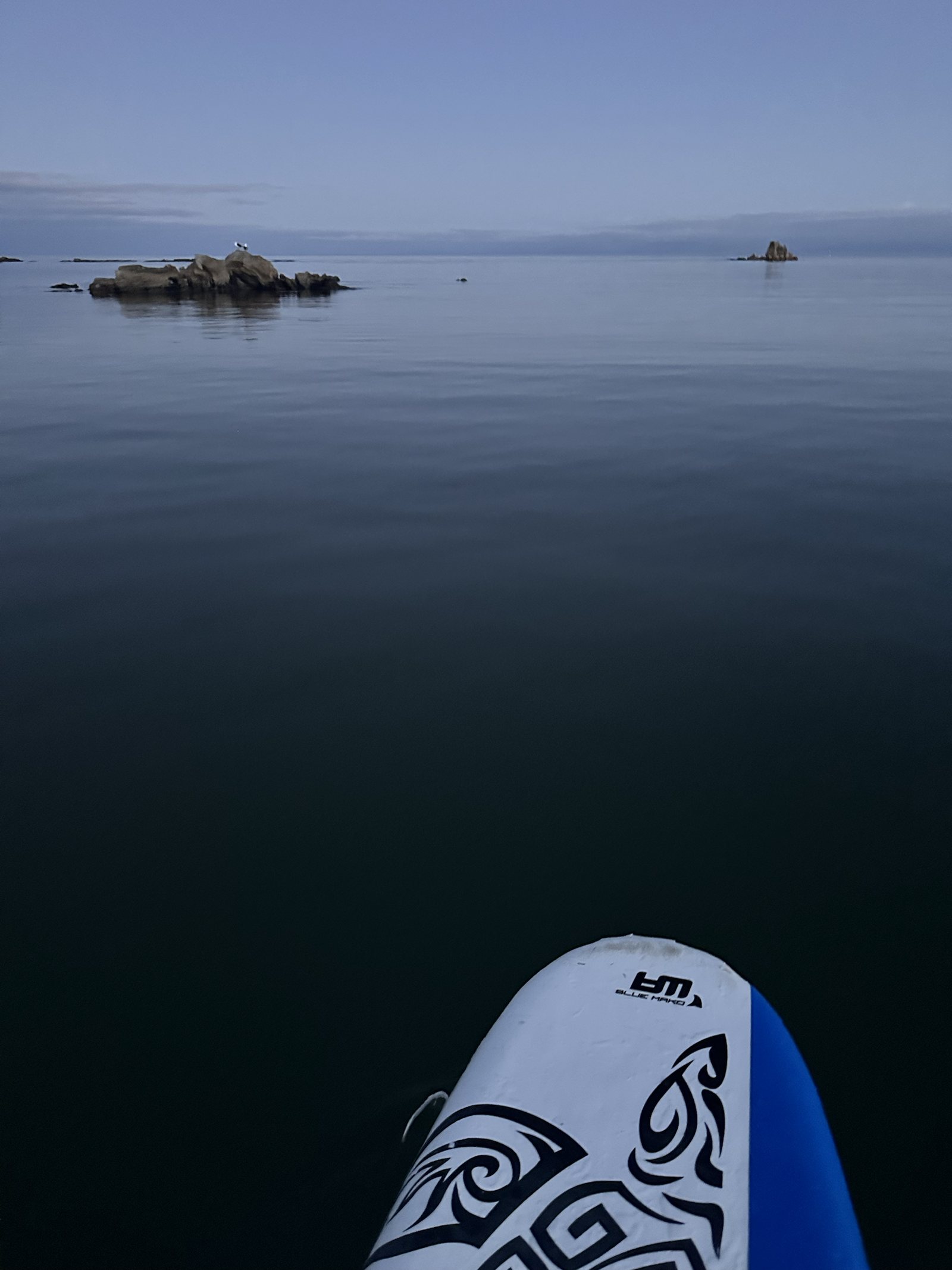 View from the front of a paddle board on calm water
